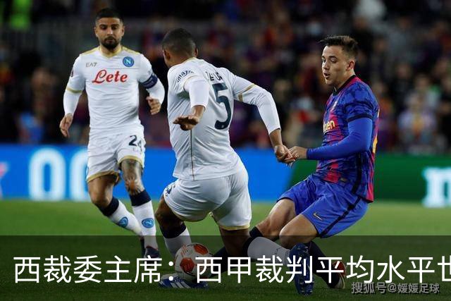 西裁委主席：西甲裁判平均水平世界最佳，误判难免